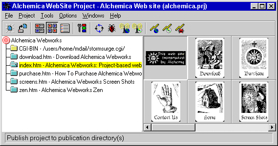 The Project Window